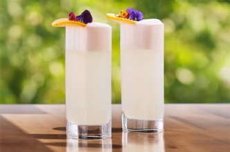 Recept na koktejl Uncle Val’s Gin Fizz