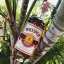 Whisper 8yo Rum 0,7l 40% + dárková krabička
