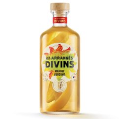 Les Arrangés Divins Mangue Curcuma 0,7l 25%