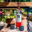Seňor Sotol Ensamble  0,7l 43%