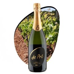 Cava de Pró Brut 0,375l 11,5%