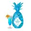 Piňaq Blue 1l 17%
