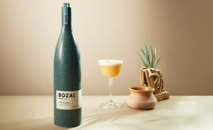 Recept na koktejl Mezcal Bozal Blood Orange Sour