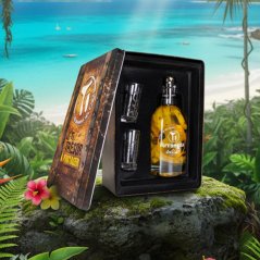 Ti Arrangés de Ceď Ananas Victoria Trésor Rhum 0,7l 32%