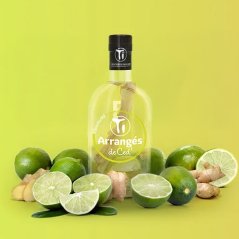 Ti Arrangés de Ceď Lemon Ginger „GWAMARÉ" Rhum 0,7l 32%