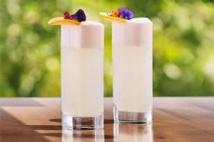 Recept na koktejl Uncle Val’s Gin Fizz