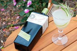 Gin