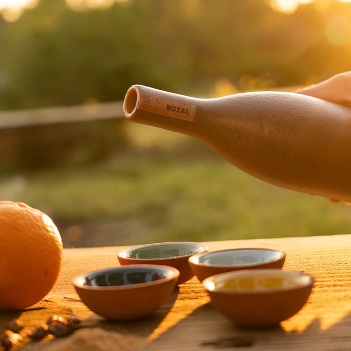 Mezcal Bozal Pechuga 0,7l 45,5%