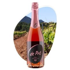 Cava de Pró Rosé Brut 0,75l 12%