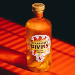 Les Arrangés Divins Mangue Curcuma 0,7l 25%