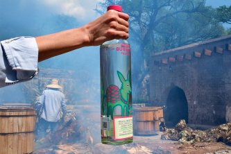 Mezcal Burrito Fiestero