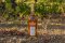 Pineau des Charentes