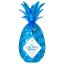 Piňaq Blue 1l 17%