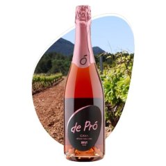 Cava de Pró Rosé Brut 0,75l 12%