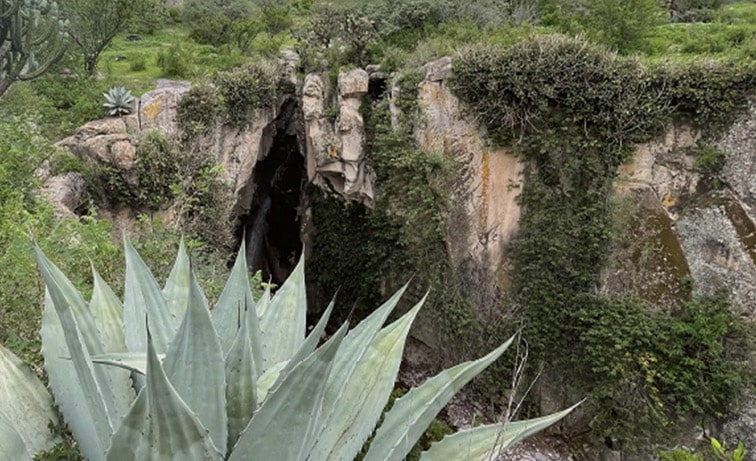 Hacienda Maguey Durango